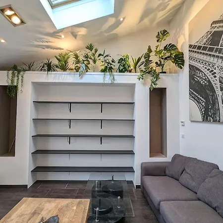Appartement Spacieux T2 Avec Vue Beffroi